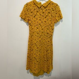 Zara golden yellow lace Peter Pan collar dress